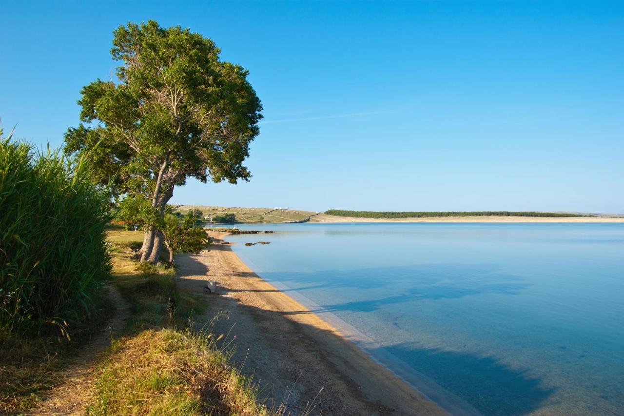Family Friendly Apartments With A Swimming Pool Povljana, Pag - 244 Exterior foto